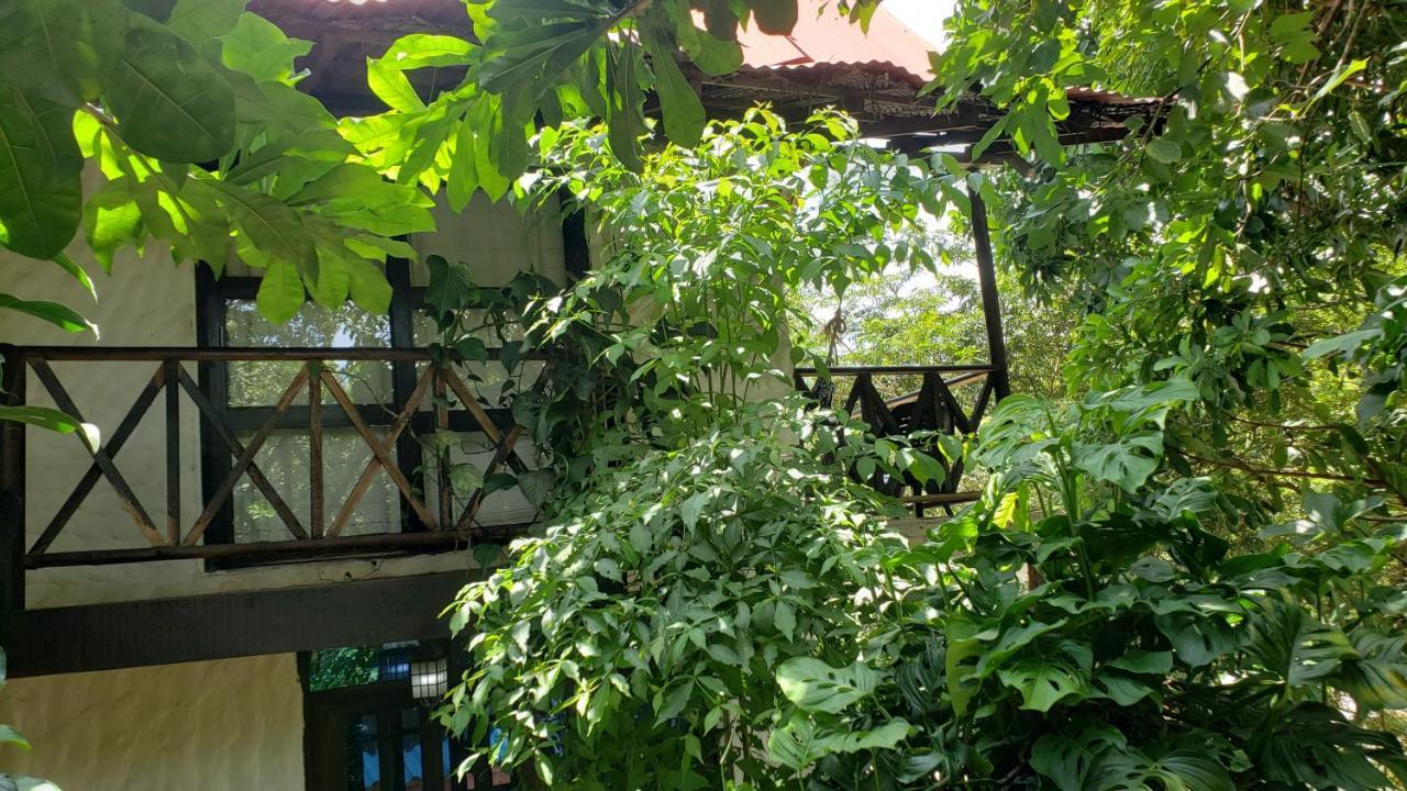 Kankui Lodge Zaino Kültér fotó