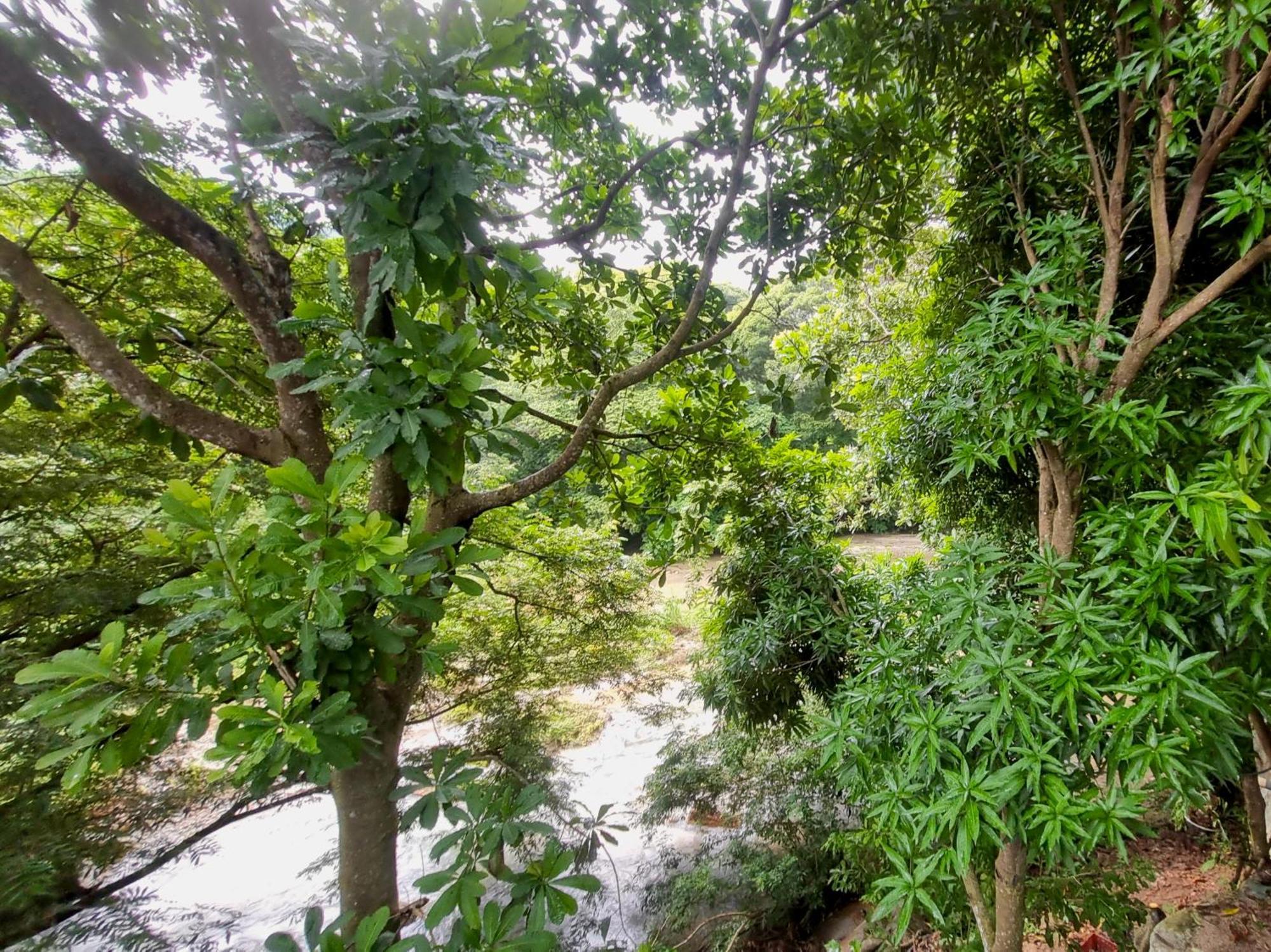 Kankui Lodge Zaino Kültér fotó