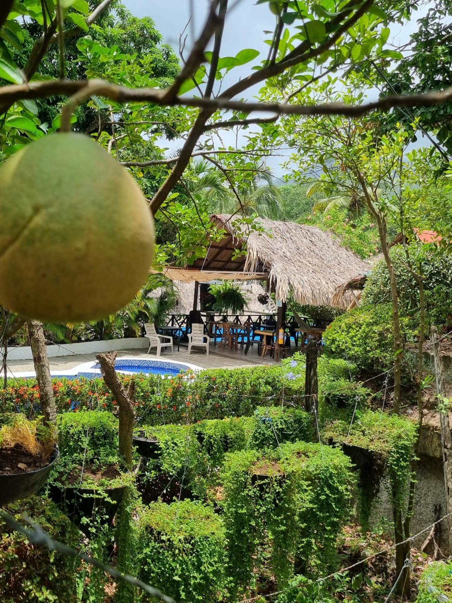 Kankui Lodge Zaino Kültér fotó