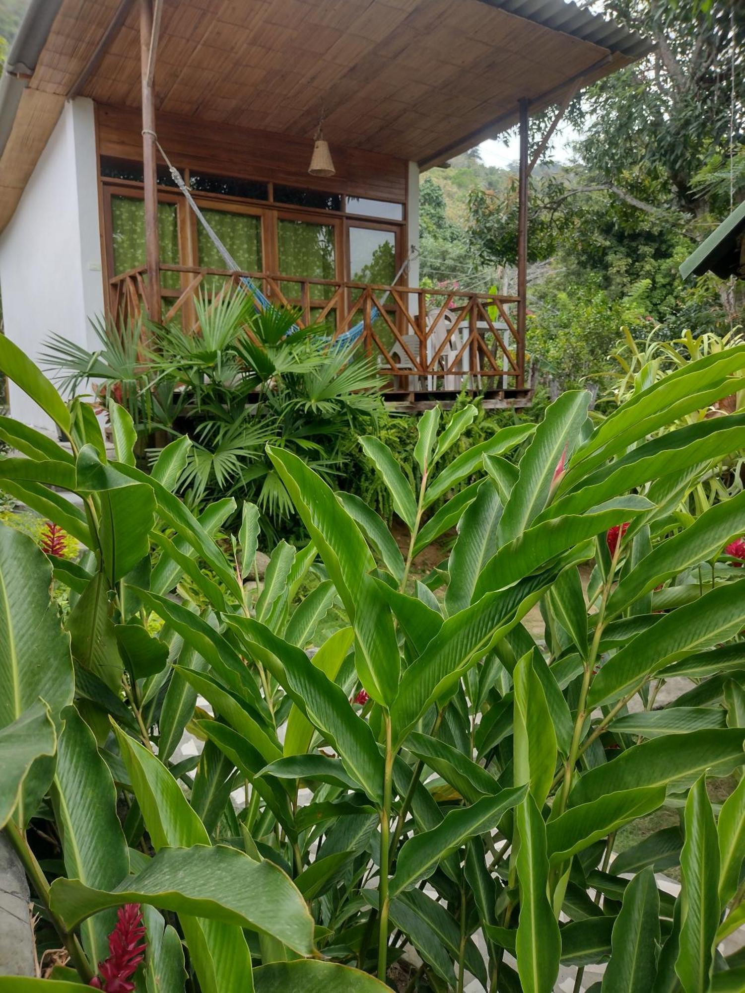 Kankui Lodge Zaino Kültér fotó